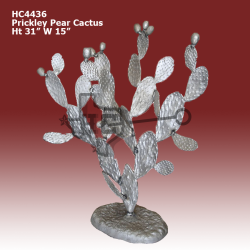 Prickley-Pear-Cactus