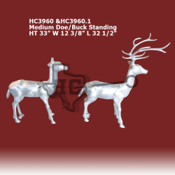 medium-buck-and-doe-standing