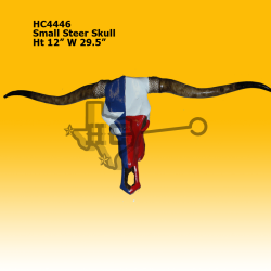 small-steer-skull-texas